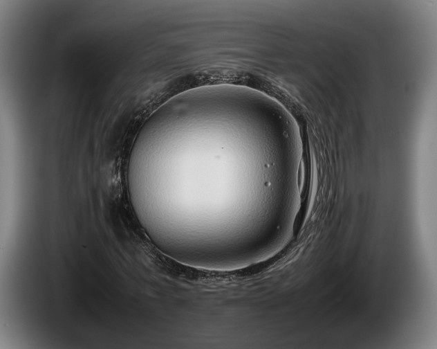 X0000086080771200703301128