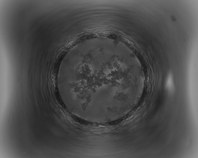 X0000086080772200703301128