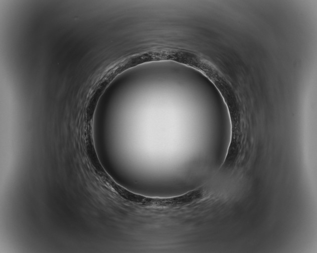 X0000086080773200703301128