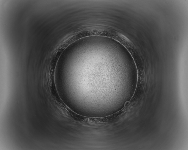 X0000086080774200703301128