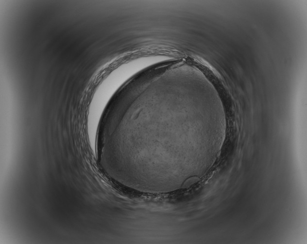 X0000086080775200703301128