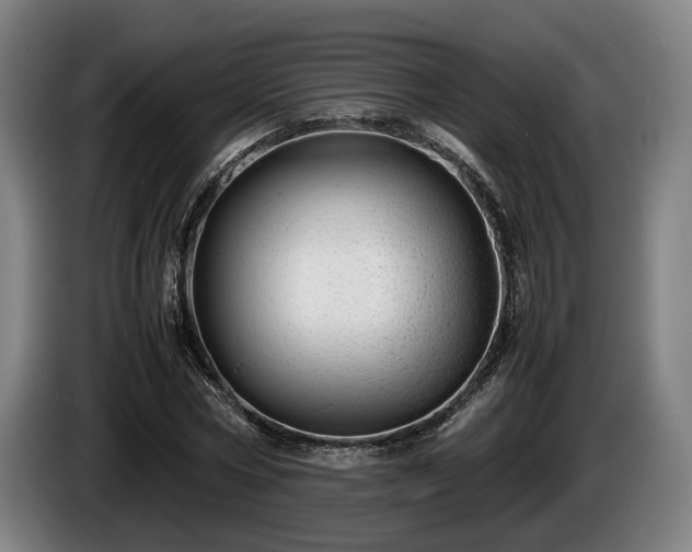 X0000086080778200703301128