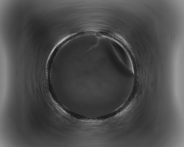 X0000086080779200703301128