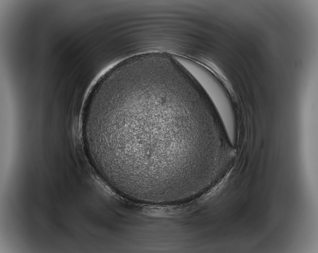 X0000086080780200703301128