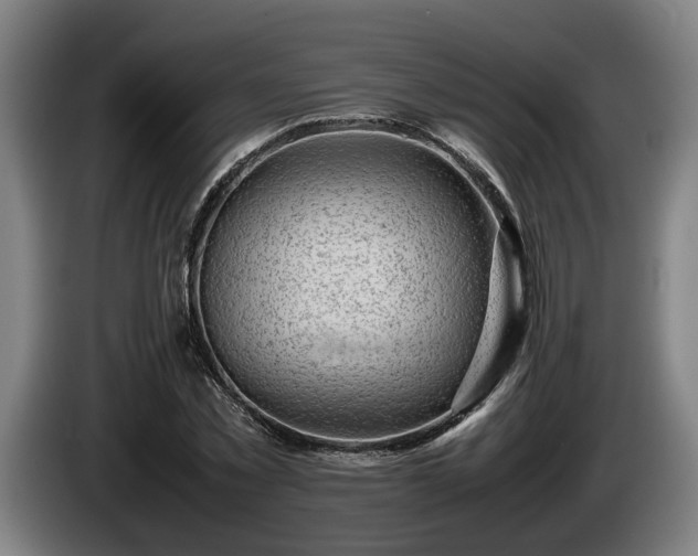 X0000086080781200703301128