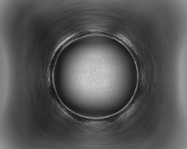 X0000086080782200703301128