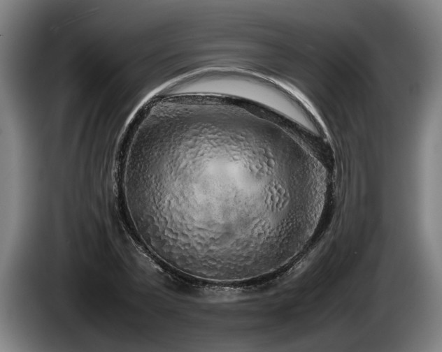 X0000086080783200703301128