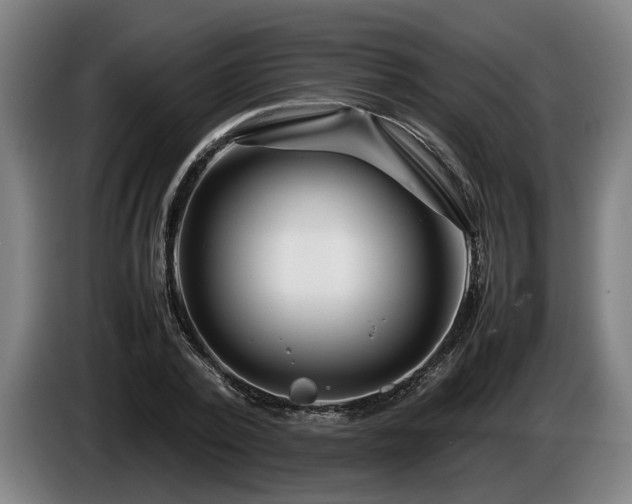 X0000086080784200703301128