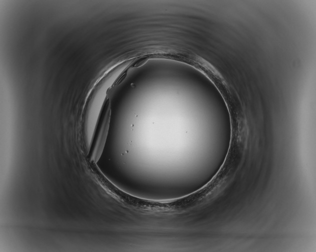 X0000086080786200703301128