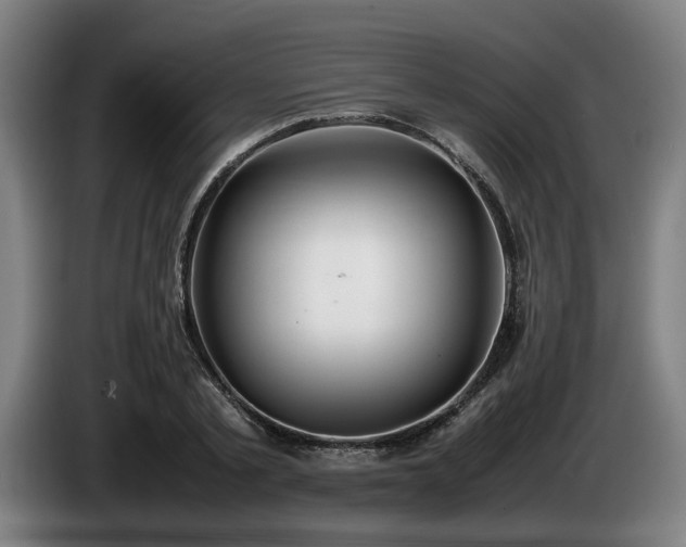 X0000086080789200703301128