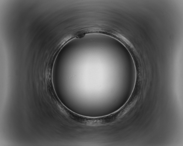 X0000086080793200703301127