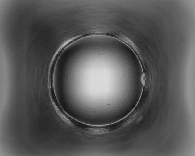 X0000086080795200703301127