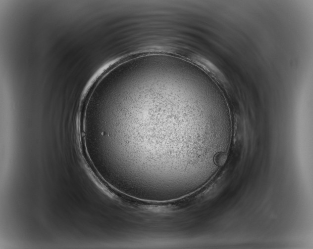 X0000086080796200703301127