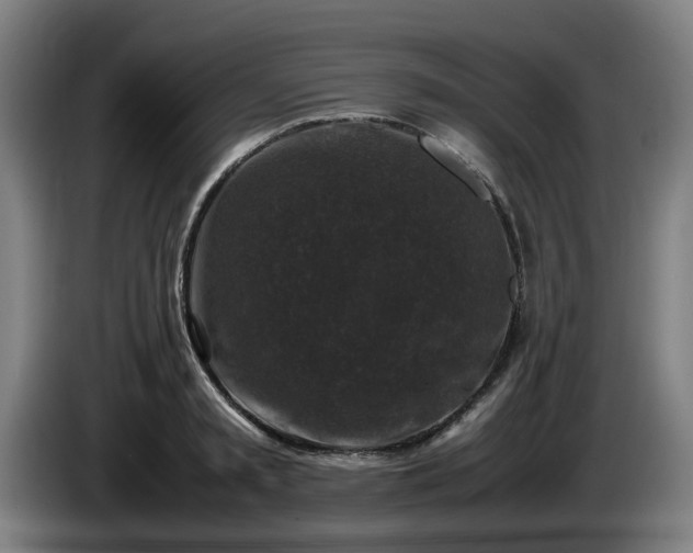 X0000086080797200703301127