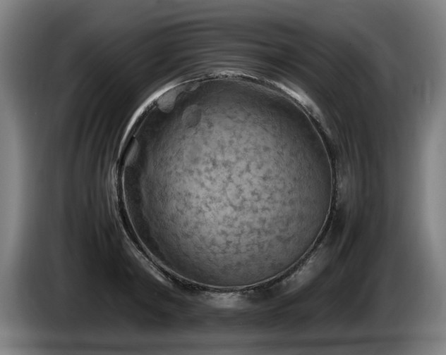 X0000086080798200703301127