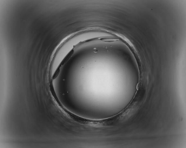 X0000086080799200703301127