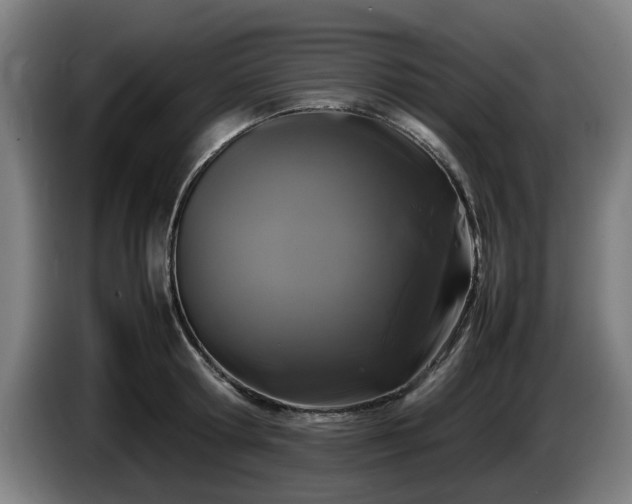 X0000086080802200703301127