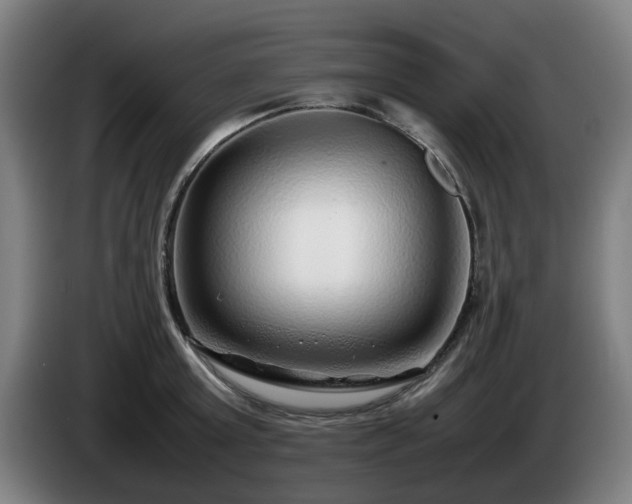 X0000086080803200703301127