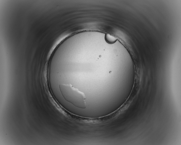 X0000086080804200703301127