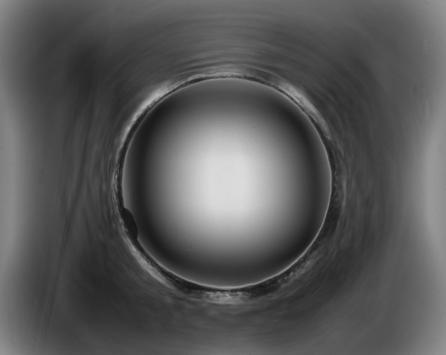 X0000086080805200703301127