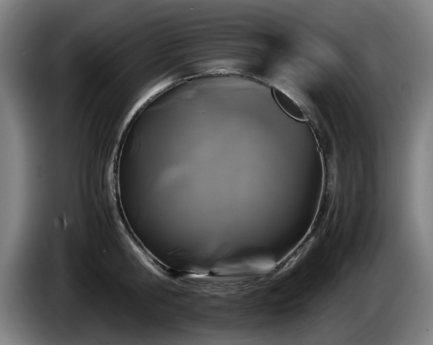 X0000086080806200703301127