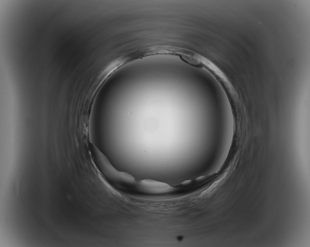 X0000086080809200703301127