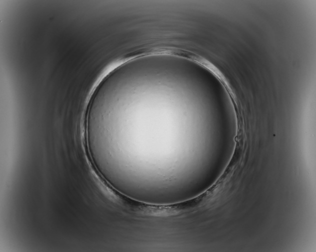 X0000086080811200703301127