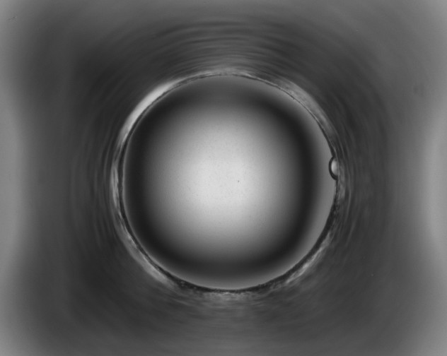 X0000086080812200703301127