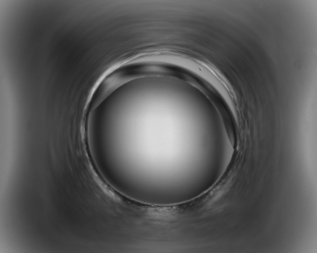 X0000086080813200703301127