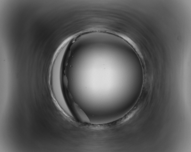 X0000086080815200703301127