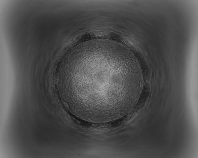 X0000086080817200703301126