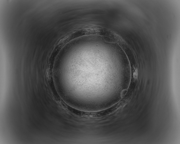 X0000086080819200703301127