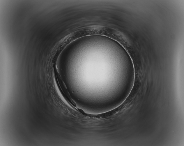 X0000086080821200703301127