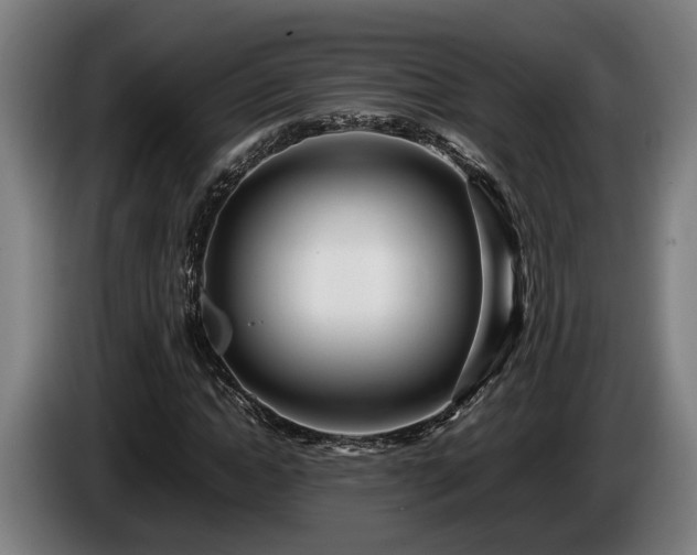 X0000086080822200703301127