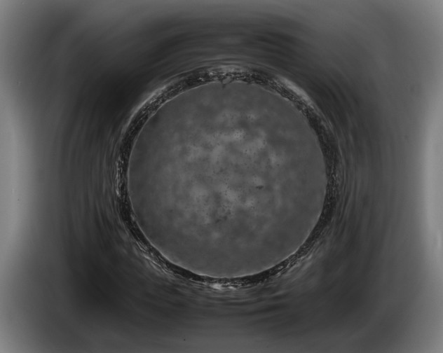 X0000086080823200703301127