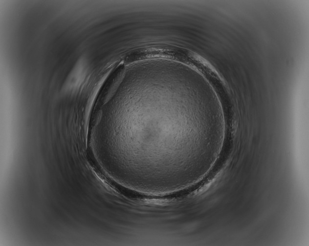 X0000086080825200703301127