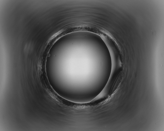 X0000086080826200703301127