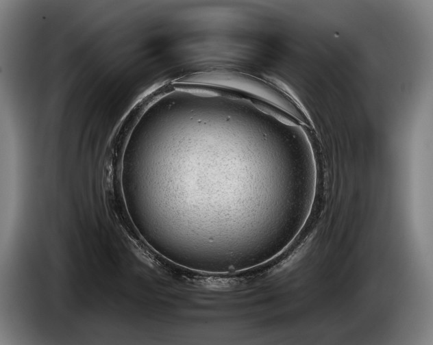 X0000086080827200703301127