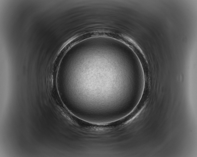 X0000086080829200703301127