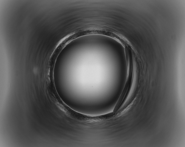 X0000086080830200703301127