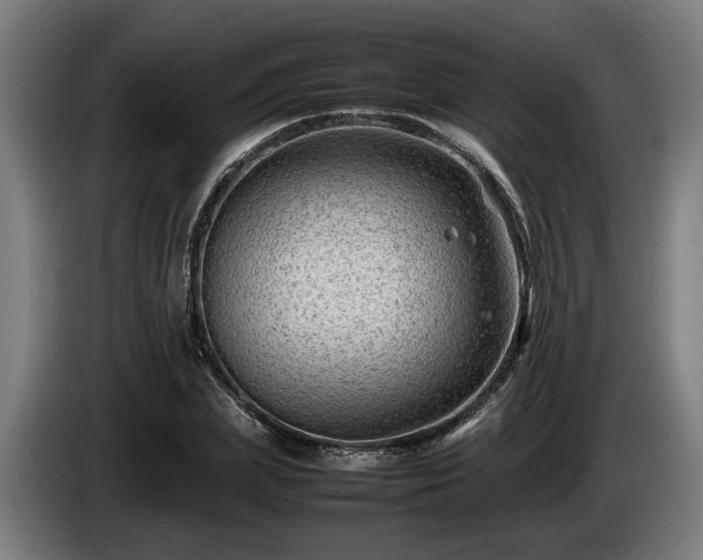 X0000086080831200703301127