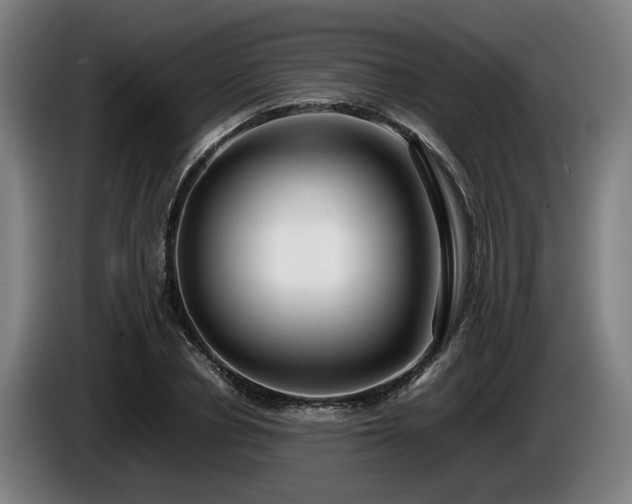 X0000086080834200703301127