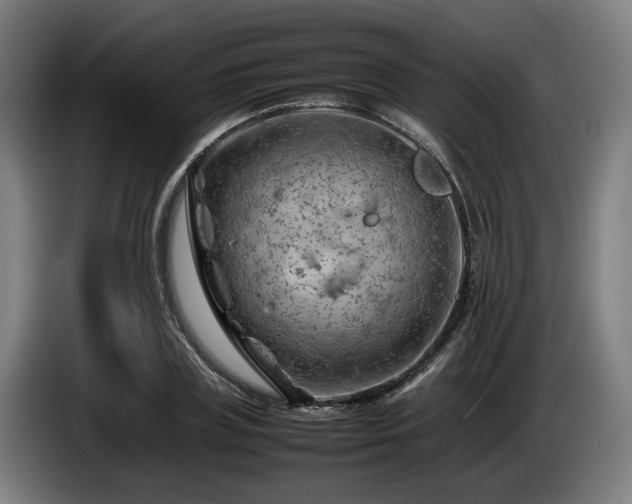 X0000086080835200703301127