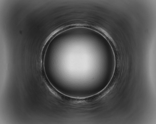 X0000086080837200703301127