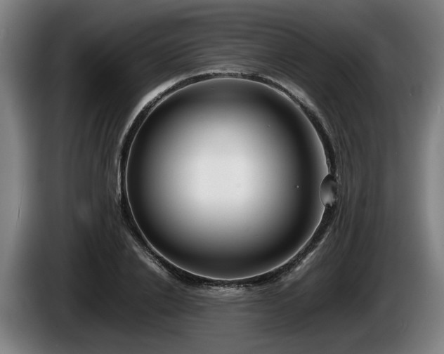 X0000086080838200703301127