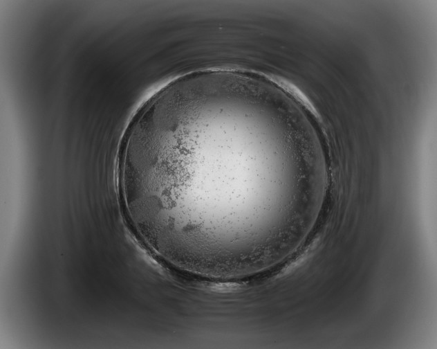 X0000086080839200703301127