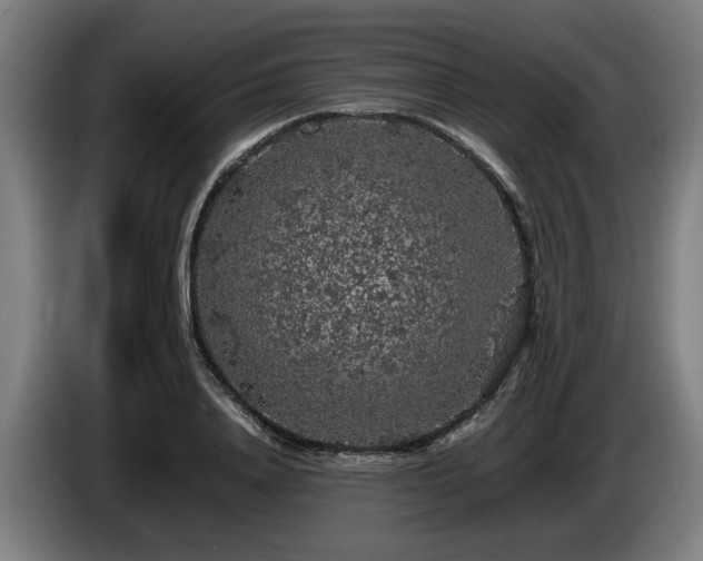 X0000086080840200703301127