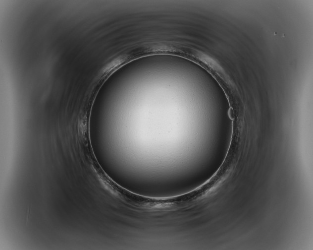 X0000086080841200703301127