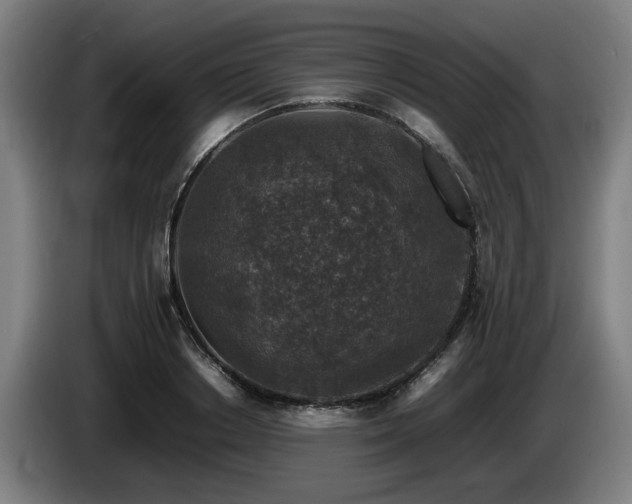 X0000086080842200703301127