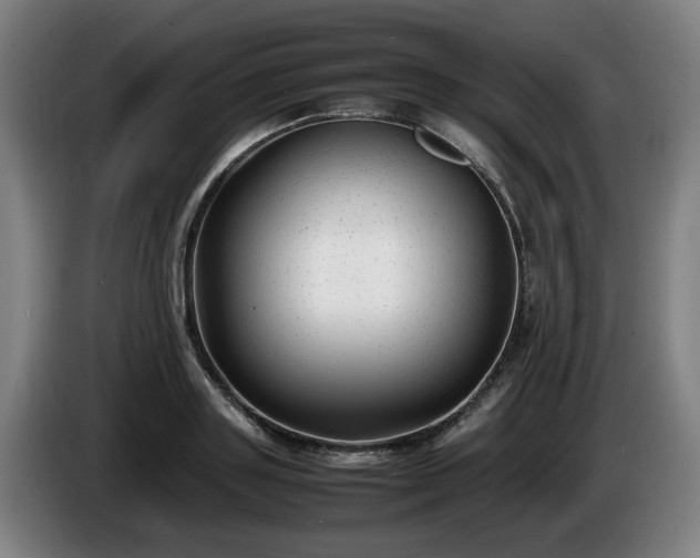 X0000086080843200703301127